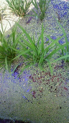 200906231210000.jpg