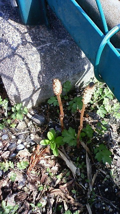 201003081155001.jpg
