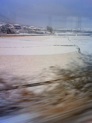 201101250811000.jpg